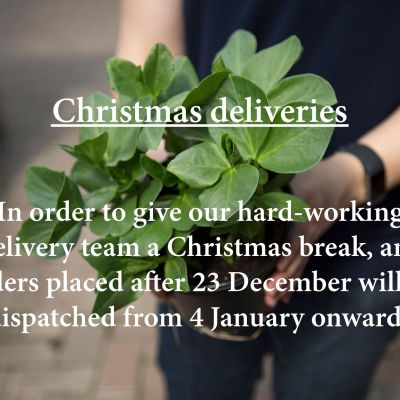 Christmas deliveries