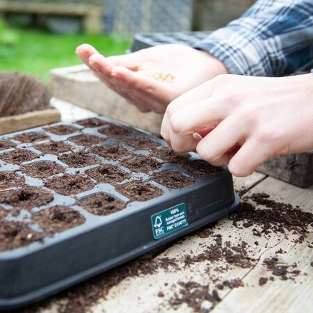 30 cell Natural Rubber seed tray - image 5