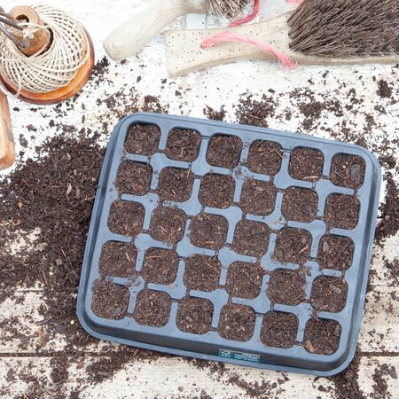 30 cell Natural Rubber seed tray - image 6