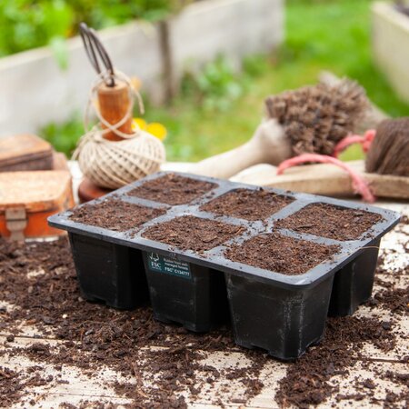 6 cell Natural Rubber seed tray - image 1