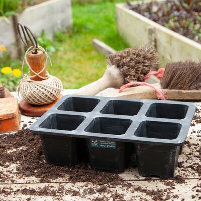 6 cell Natural Rubber seed tray - image 2