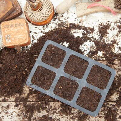 6 cell Natural Rubber seed tray - image 3