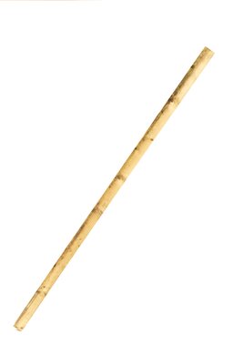 Single Bamboo Cane 60cm / 0.6m