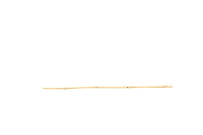 Single Bamboo Cane 120cm / 1.2m