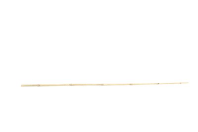 Single Bamboo Cane 150cm / 1.5m