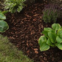 Mulch & Soil Improver
