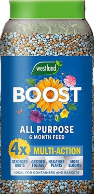 Boost All Purpose 6 month feed 750g - image 1