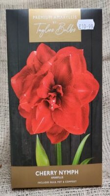 Cherry Nymph Amaryllis Gift Box - image 1