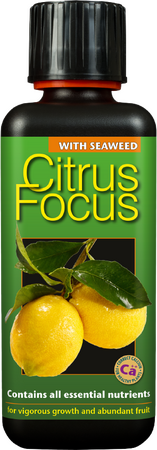 Citrus Focus 300ml Organic