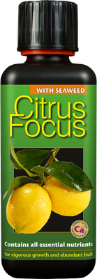 Citrus Focus 300ml Organic