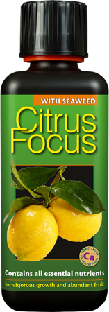Citrus Focus 300ml