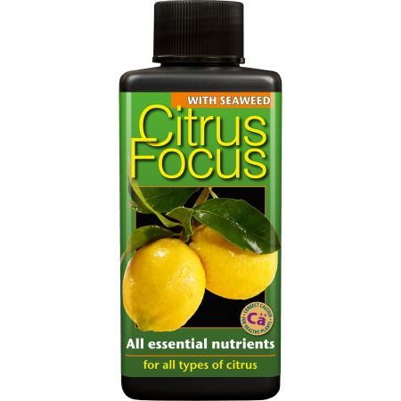 Citrus Focus 1L Organic