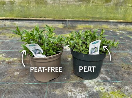 FREE TALK - 'mythbusting peat free'