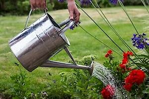 Galvanised Watering Can 9L