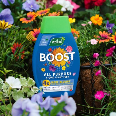 GC Boost - All Purpose Liquid Plant Feed 1L (January delivery) - image 3