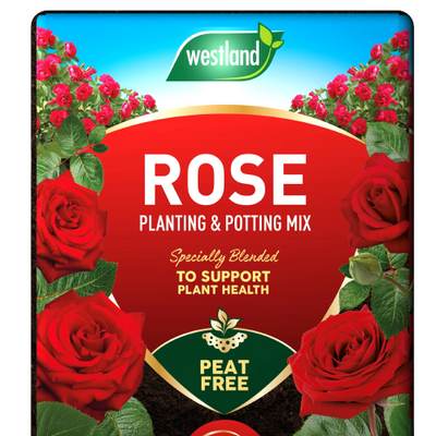 GC Rose compost 50L (January delivery) - image 2