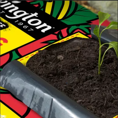 GC Tomorite Organic Gro Bag (January delivery) - image 2