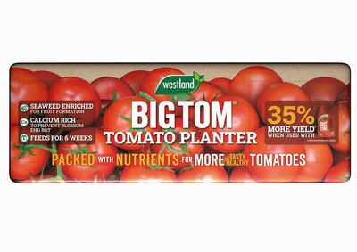 GC Westland Big Tom Growbag 55L (January delivery) - image 1