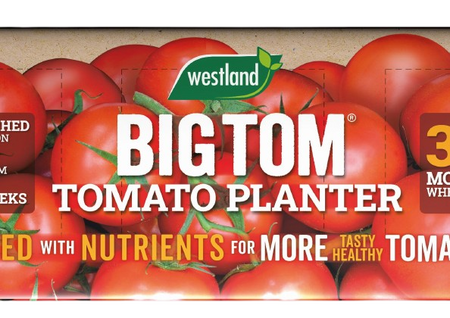 GC Westland Big Tom Growbag 55L (January delivery) - image 2