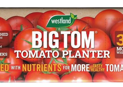 GC Westland Big Tom Growbag 55L (January delivery) - image 2