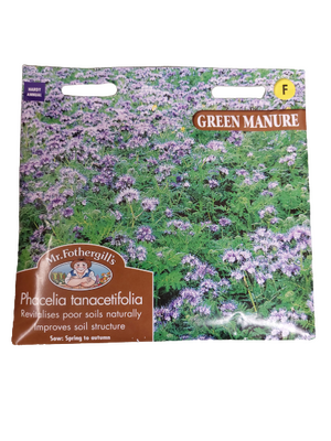 Green Manure - Phacelia Tanacetifolia