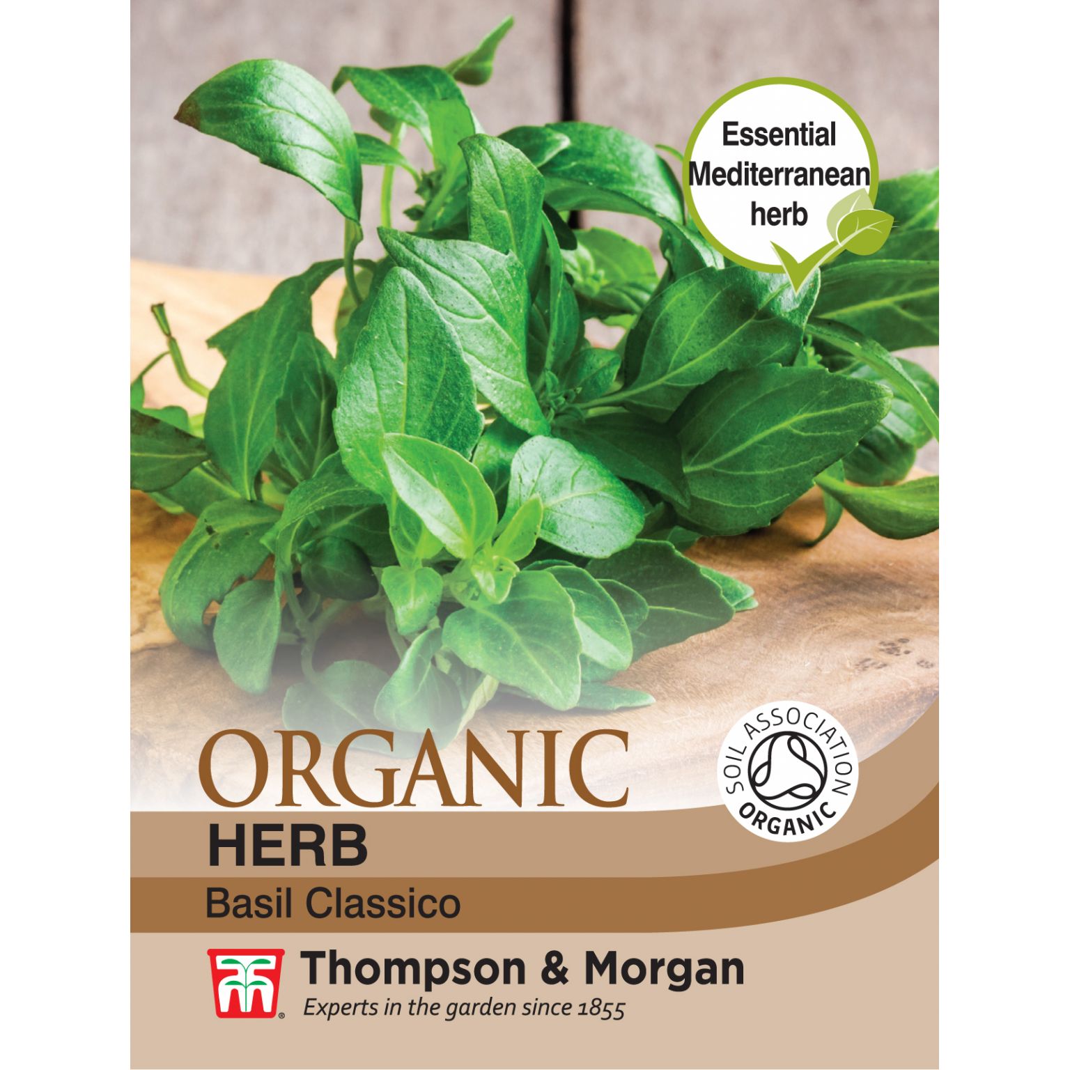 Herb Basil Classico The Gardens Group