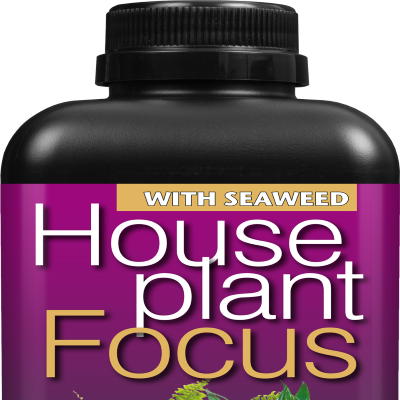 Houseplant Focus 1L