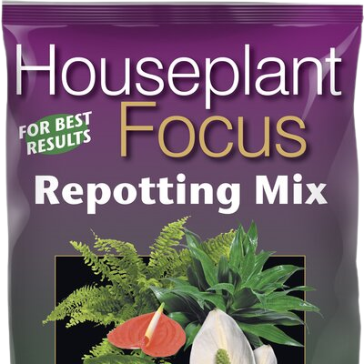 Houseplant Focus Repotting Mix 3L - image 1
