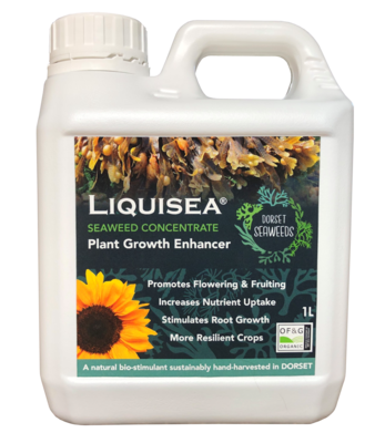 Liquisea Organic Seaweed Concentrate 1l - image 1