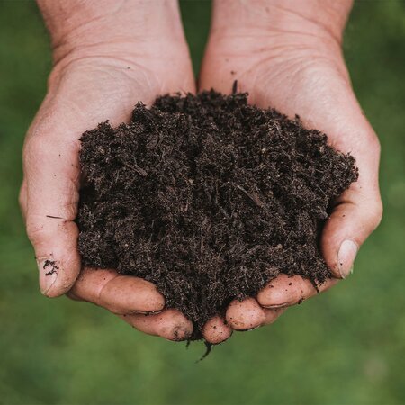 New Horizon All Plant Compost 40L - image 2