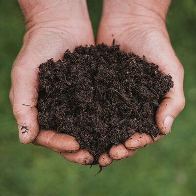 New Horizon All Plant Compost 40L - image 2