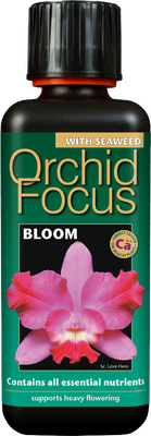 Orchid Focus Bloom 300ml