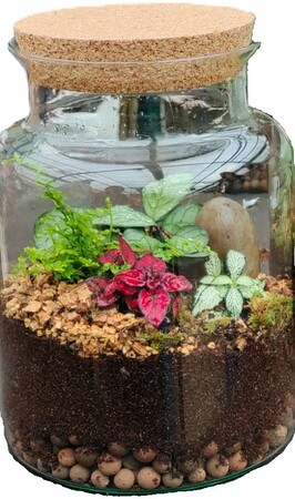 Poundbury Terrarium Workshop July 2025