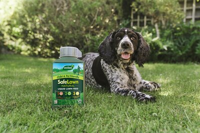 SafeLawn Natural Lawn Feed 1L - image 2
