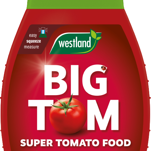 Westland Big Tom Super Tomato Food 1L The Gardens Group