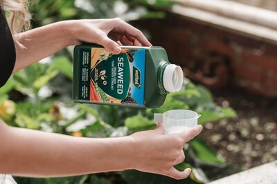 Westland Organic Seaweed plant stimulant 1litre - image 3